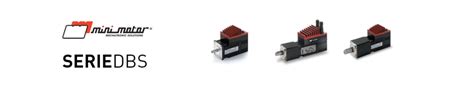 Mini Motor DBS Series Installation, Use And Maintenance Manual.